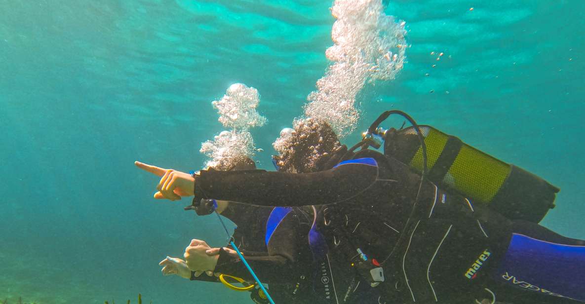 Mallorca: Private Beginner Scuba Dive With Photos and Video - Things To Known