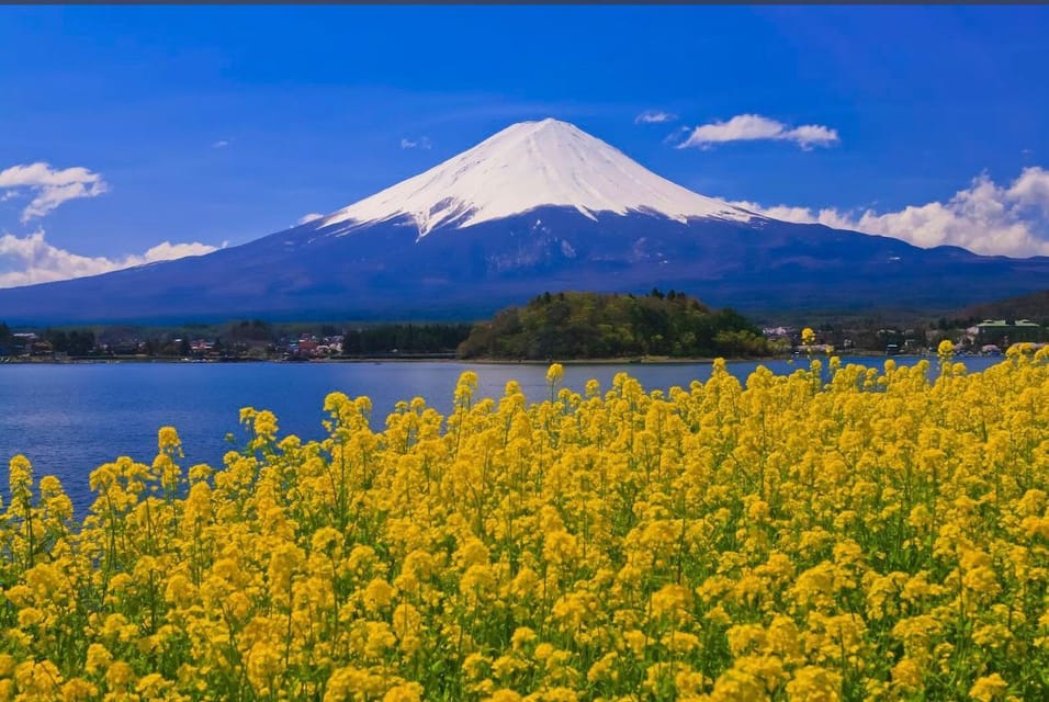 Mt.Fuji Private Tour by Car With Pick and Drp From Tokyo - Frequently Asked Questions