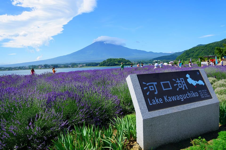 Mt.Fuji:Lake Kawaguchi,Yamanaka & Onsen Day Tour From Tokyo - Booking and Payment