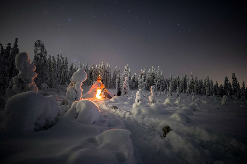 Night Snowshoeing Adventure Under the Northern Lights - Sustainable Tourism Operations