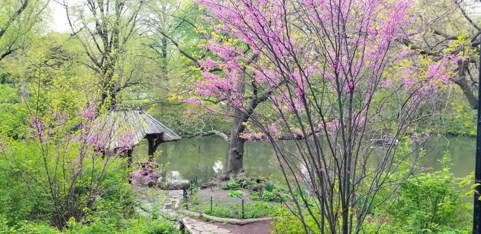 NYC: Central Park Secrets and Highlights Walking Tour - Important Information