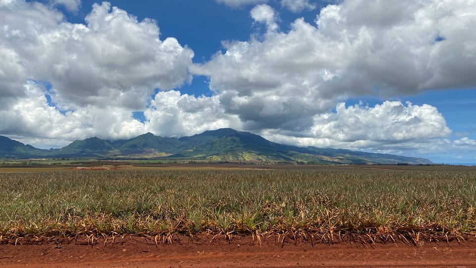 Oahu: Private Full-Day Foodie & Sightseeing Tour - Cancellation Policy