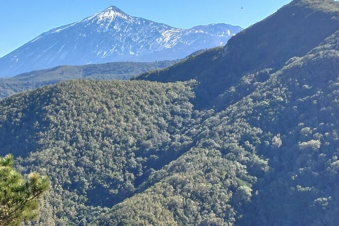 Panoramic Route Across the Teno Rural Park in Tenerife - Meeting Point and Pickup