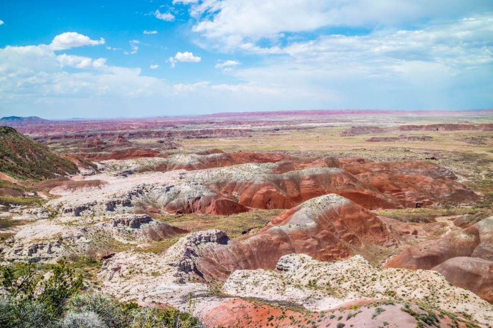 Petrified Forest National Park Self-Guided Audio Tour - Customer Feedback