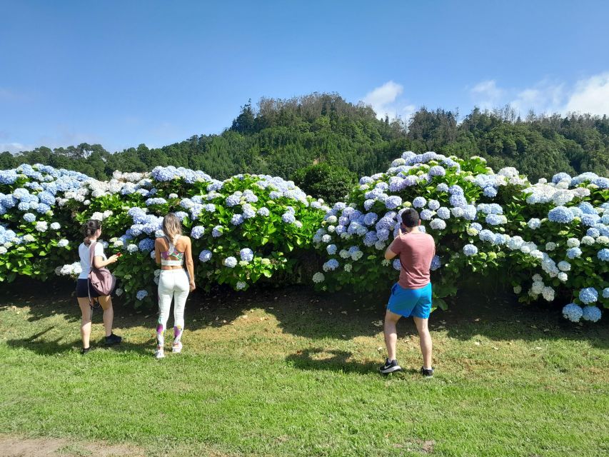 Ponta Delgada Cruise Port: The Blue & Green Lake Tour - A Arruda Pineapple Plantation