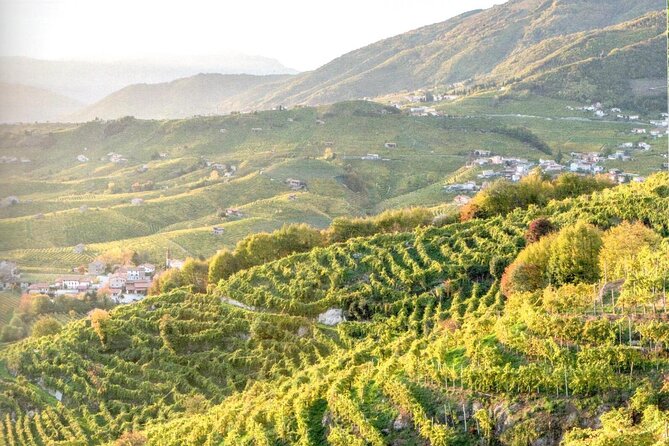 Prosecco - Wine Tour & Tasting - Full Day in the Prosecco Region - Maximum Travelers