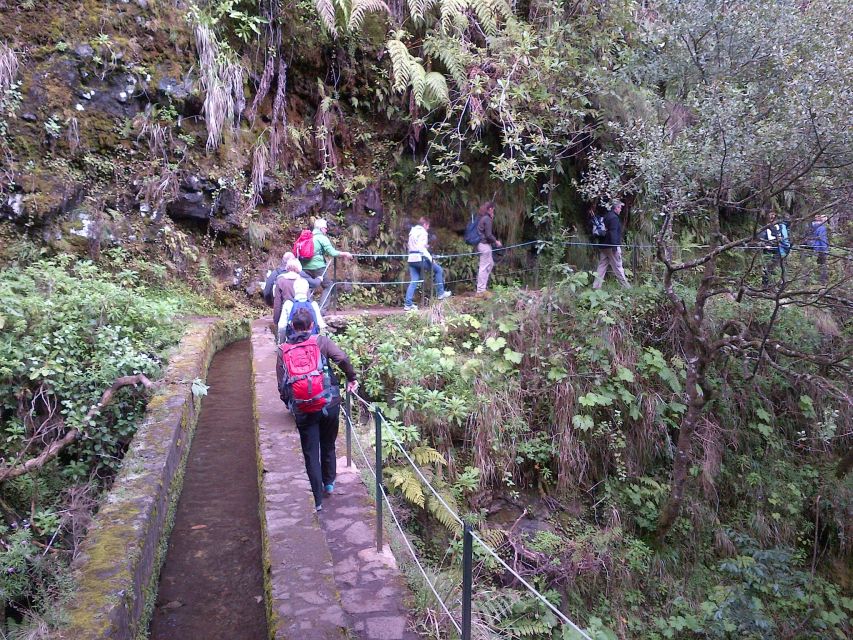 Queimadas Natural Park 5-Hour Guided Hike - Frequently Asked Questions