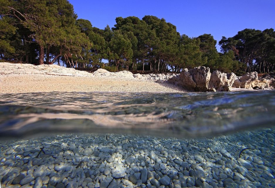 Sakarun Beach Full-Day Guided Tour From Zadar - Customer Reviews