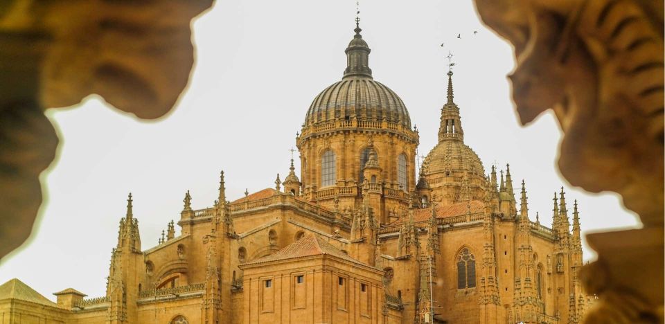 Salamanca: Private Guided Customizable Walking Tour - Things To Known