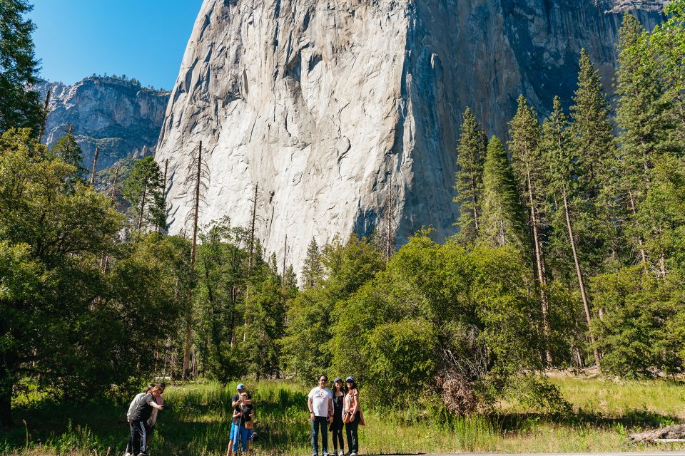 San Francisco: Yosemite National Park & Giant Sequoias Hike - Expert Guiding