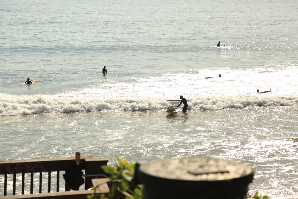 Santa Monica: Surfing Day Trip With Lunch - Enjoying the Picnic Lunch