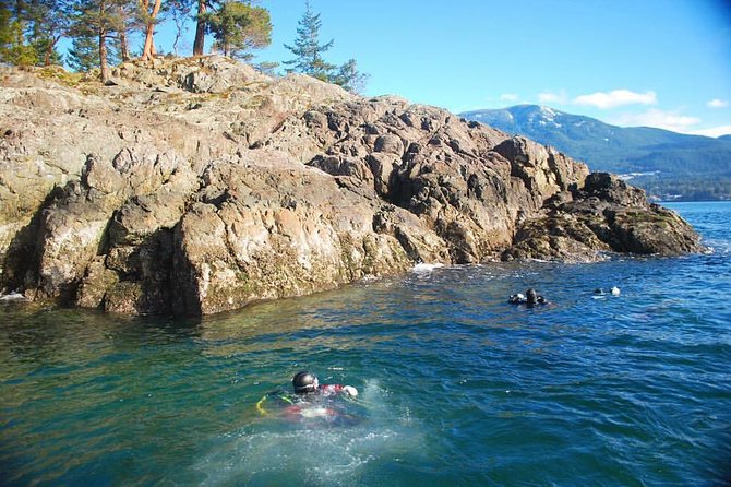 Scuba Dive Boat Charter in Vancouver (Certified Divers Only!) - Booking and Cancellation Policy