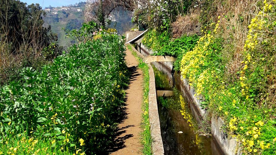 Serra De Água Valley Levada Walk - Private Group