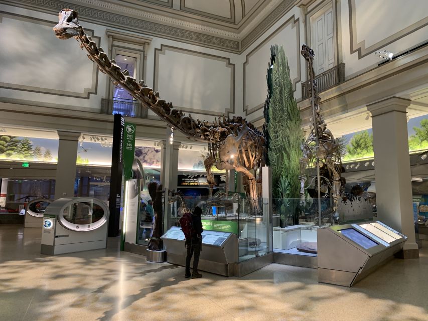 Smithsonian National Museum of Natural History Guided Tour - Important Details