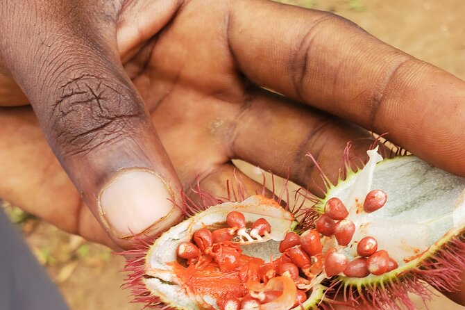 Spice Tour Zanzibar - Convenient Transfers