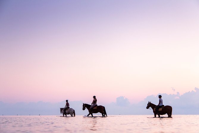 Standard Ride: Beach & Bush - Personalized Attention