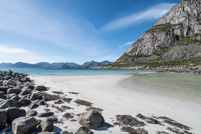 Summer Full-Day Guided Tour of the Lofoten Islands - Scenic Viewpoints