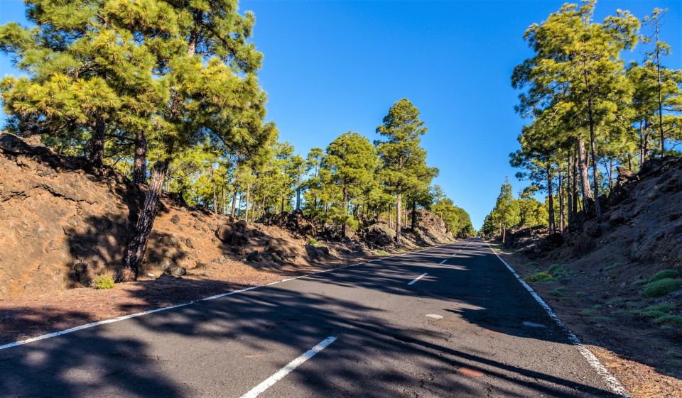 Teide: Guided Sunset and Stargazing Tour With Dinner - Booking Your Adventure