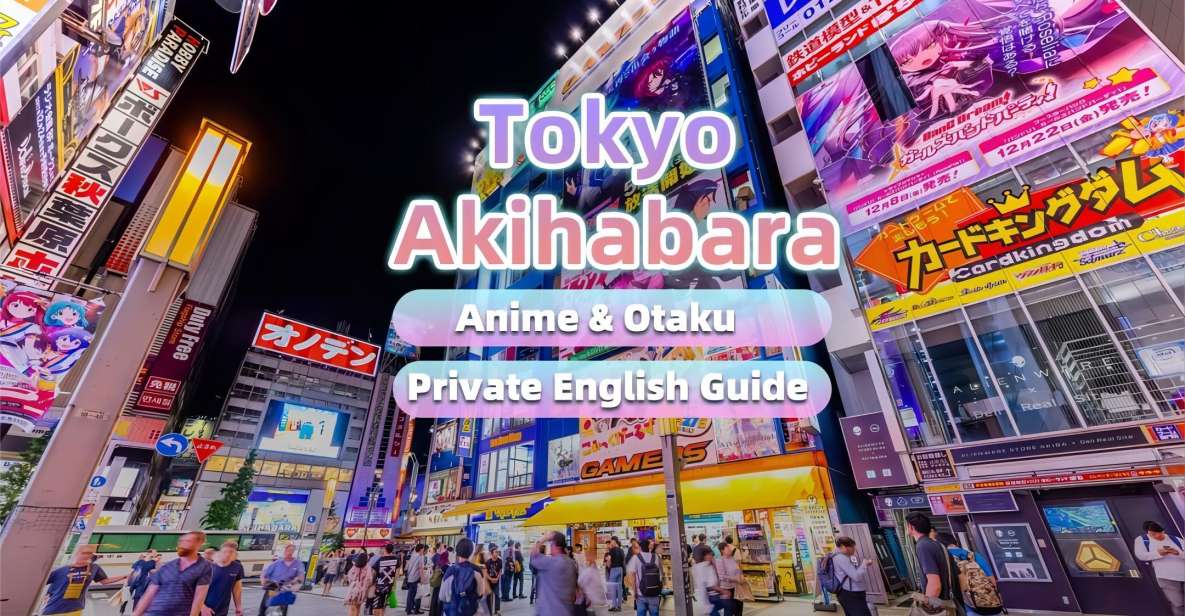 Tokyo: Anime&Otaku Private Tour With Expert English Guide - Inclusions and Exclusions