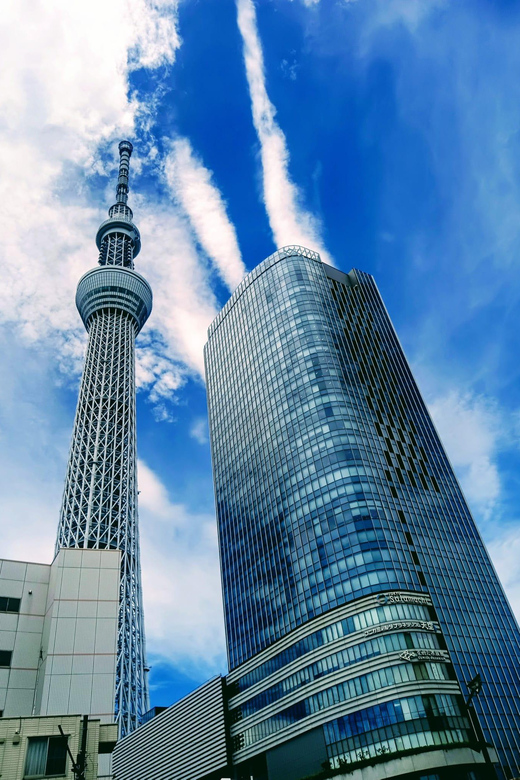 Tokyo Tour One Day Private Tour by Car With English Driver - Group Size and Capacity