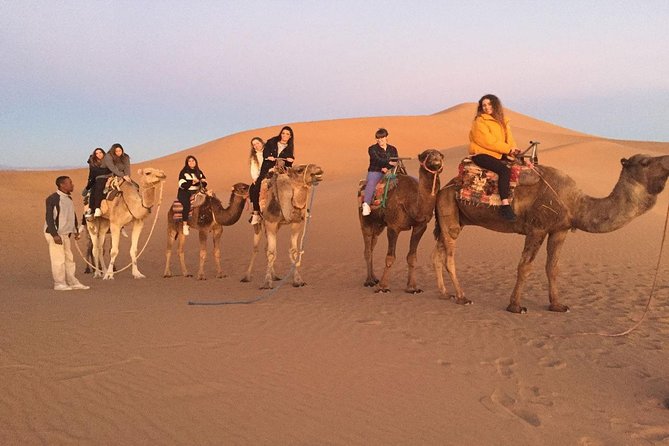 Tour 3 Days 2 Nights to Merzouga Desert From Marrakech - Meals and Guide