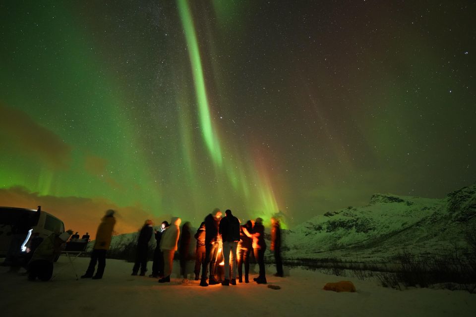 Tromsø: Northern Lights Tour With Free Professional Portrait - Guaranteed Appearance