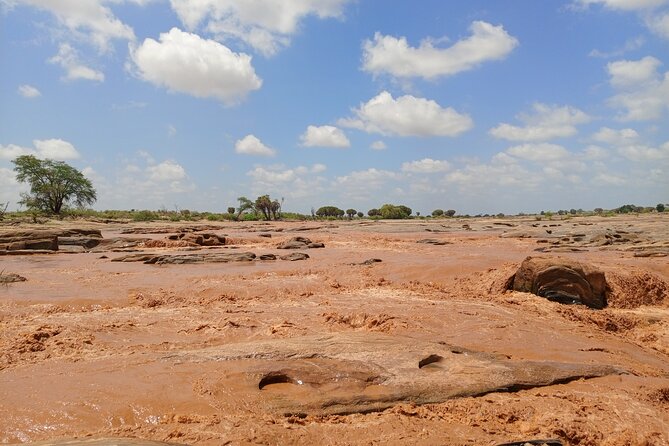 Tsavo East and Ngutuni Sanctuary Safari 3 Days From Mombasa - Important Information