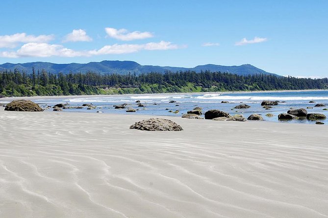 Vancouver to Tofino 2 Day Tour Private - Guest Reviews