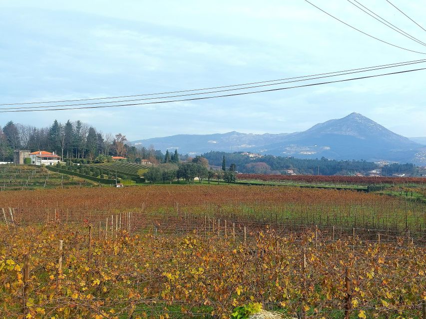 Vinho Verde Route - Private Wine Experience Including Lunch - Lunch and Traditional Cuisine