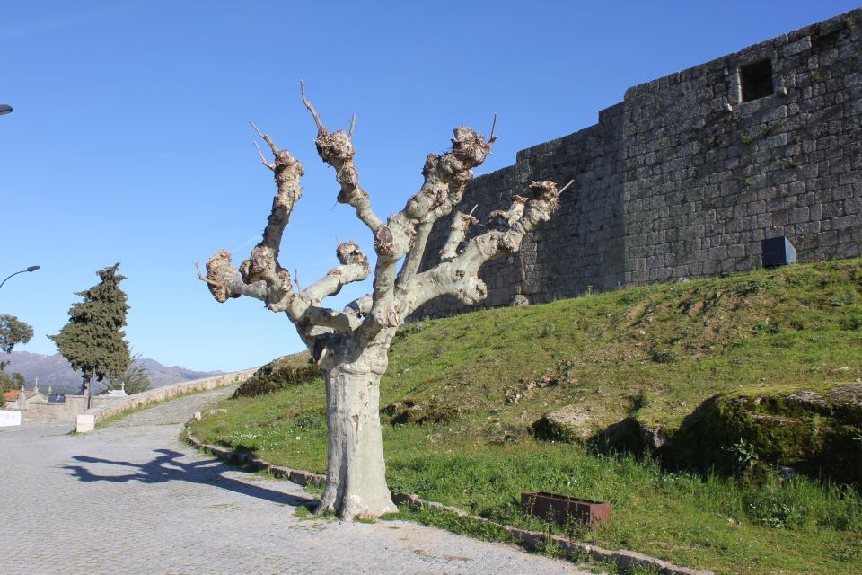 2 Days Tour to Heart of Serra Da Estrela From Lisbon - Frequently Asked Questions