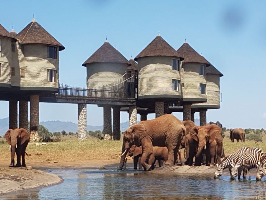 3 Days Safari to Saltlick Lodge From Nairobi - Frequently Asked Questions