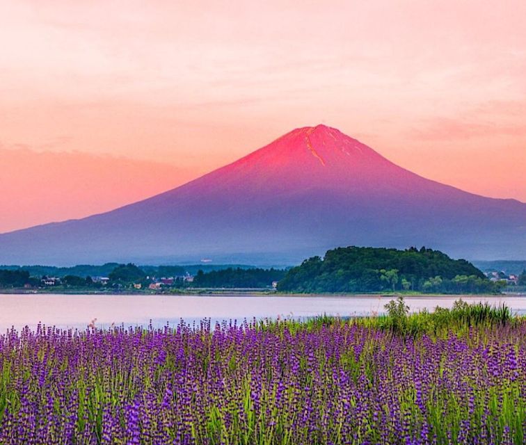 4-Day Private MT Fuji Tokyo Kamakura Hakone Nikko Yokohama - Frequently Asked Questions