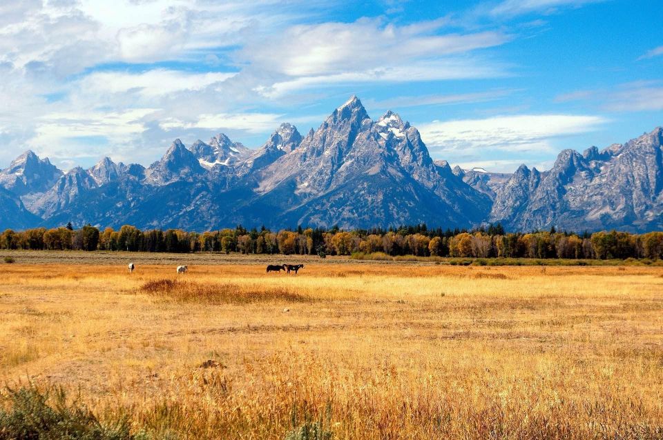 5-day Tour Yellowstone Park Los Angeles-Salt Lake City - Frequently Asked Questions