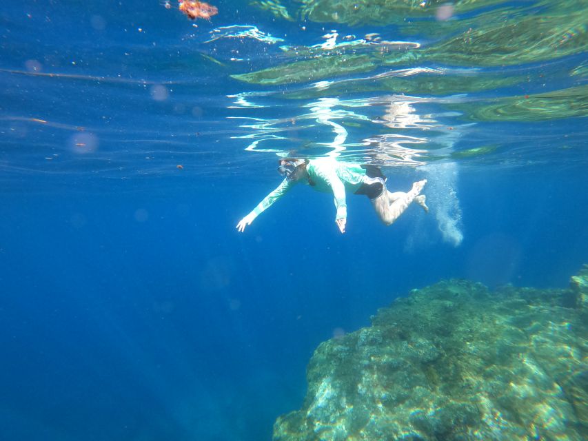 Câmara De Lobos: Private Guided Kayaking Tour in Madeira - Pricing and Duration