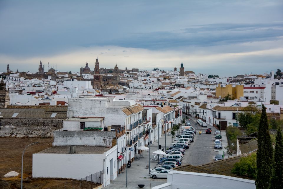 Carmona and Necropolis Tour From Seville - Frequently Asked Questions