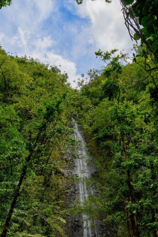 Diamond Head Manoa Falls - Frequently Asked Questions