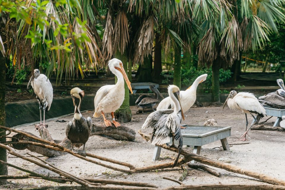 Fort Lauderdale: Flamingo Gardens Entry Ticket - Frequently Asked Questions