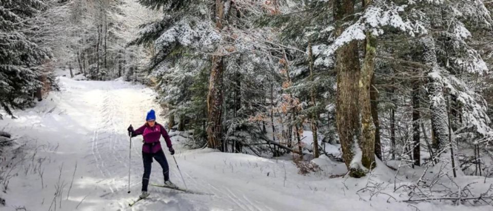 From Gardiner: Guided Yellowstone Cross-Country Skiing Tour - Frequently Asked Questions