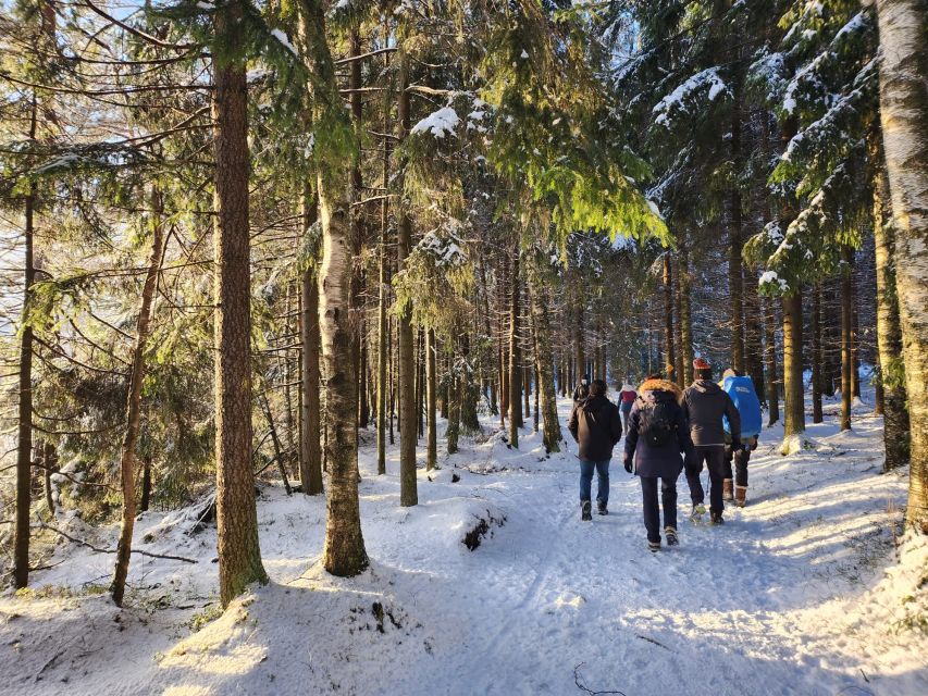 From Helsinki: Hike and Sauna in Sipoonkorpi National Park - Frequently Asked Questions