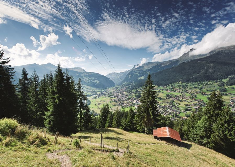 From Lucerne: Day Trip to Grindelwald and Interlaken - Frequently Asked Questions