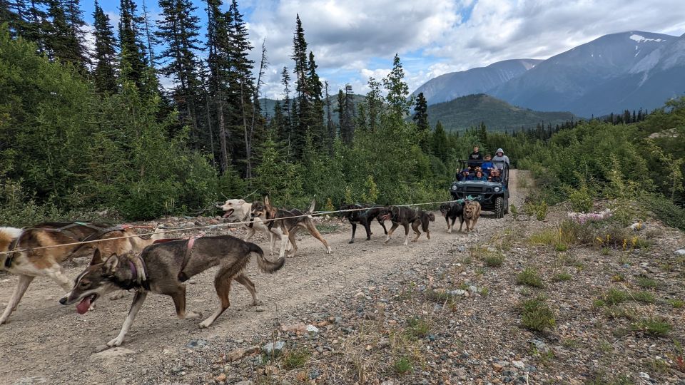 From Skagway: Yukon Sled Dog Mushing & White Pass Combo - Frequently Asked Questions