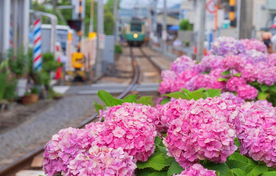 From Tokyo: Kamakura Buddha, Enoshima,Shrine,Enoden Day Trip - Frequently Asked Questions