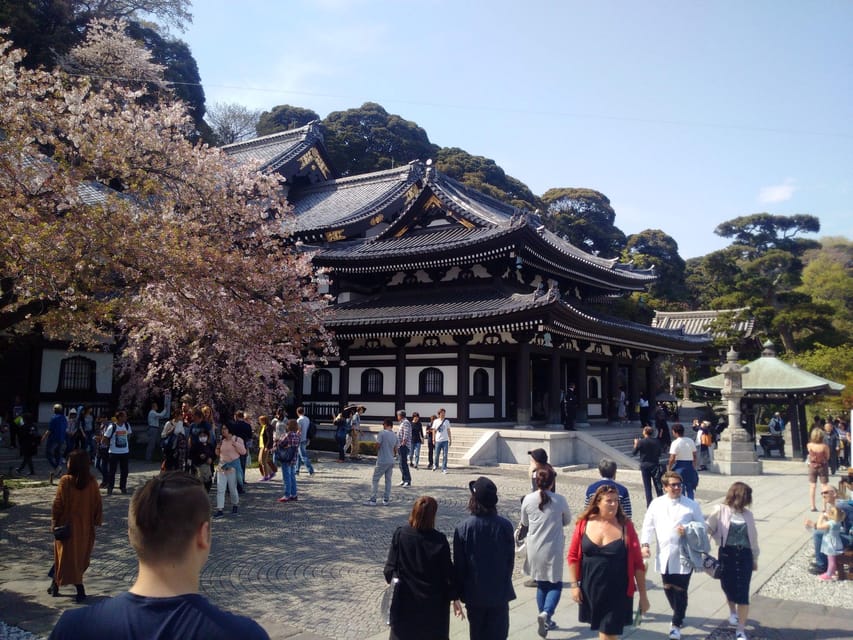 From Tokyo: Kamakura, Enoshima Private Day Tour - Frequently Asked Questions