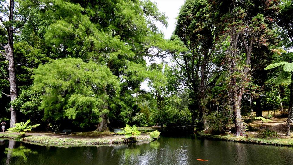 Furnas & Terra Nostra Botanic Park Guided Tour W/ Hotsprings - Recap