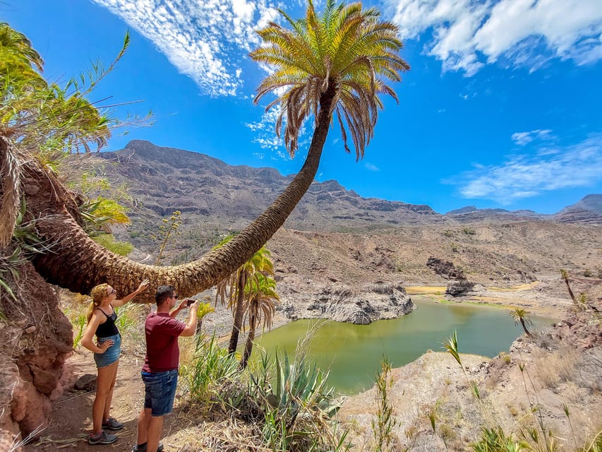 Gran Canaria Cave, Oasis, Red-Gorge Adventure & Cosy Picnic - Things To Know