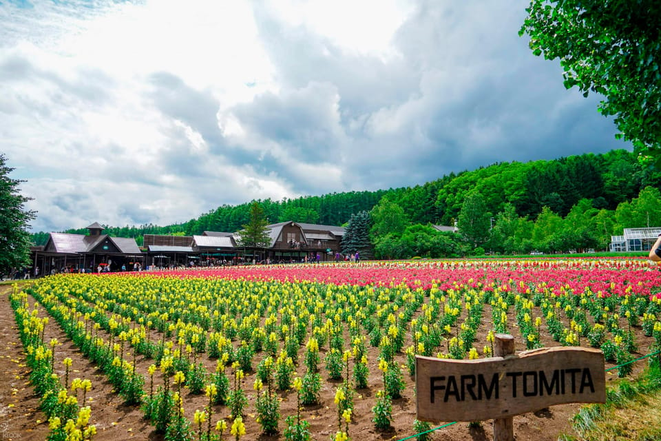 Hokkaido Biei Green Pond and Furano Flower Sea Review - Frequently Asked Questions