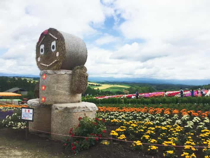 Hokkaido: Flower Sea, Pastoral, and Natural Scenery Day Tour - Frequently Asked Questions