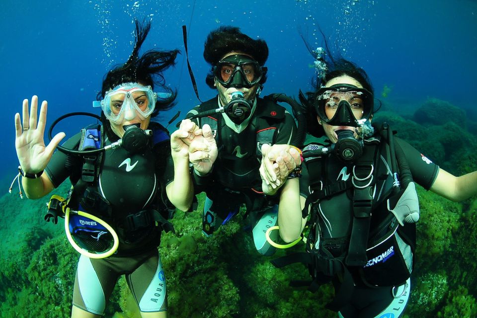 Ibiza Scuba Diving for Beginners and Snorkeling - Things To Known