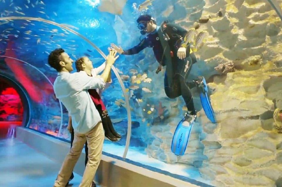 Istanbul Aquarium and Aqua Florya Shopping Mall Tour - Frequently Asked Questions