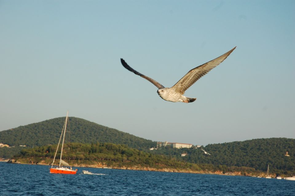 Istanbul: Princes Islands Cruise W/Music, Lunch & Transfer - Recap